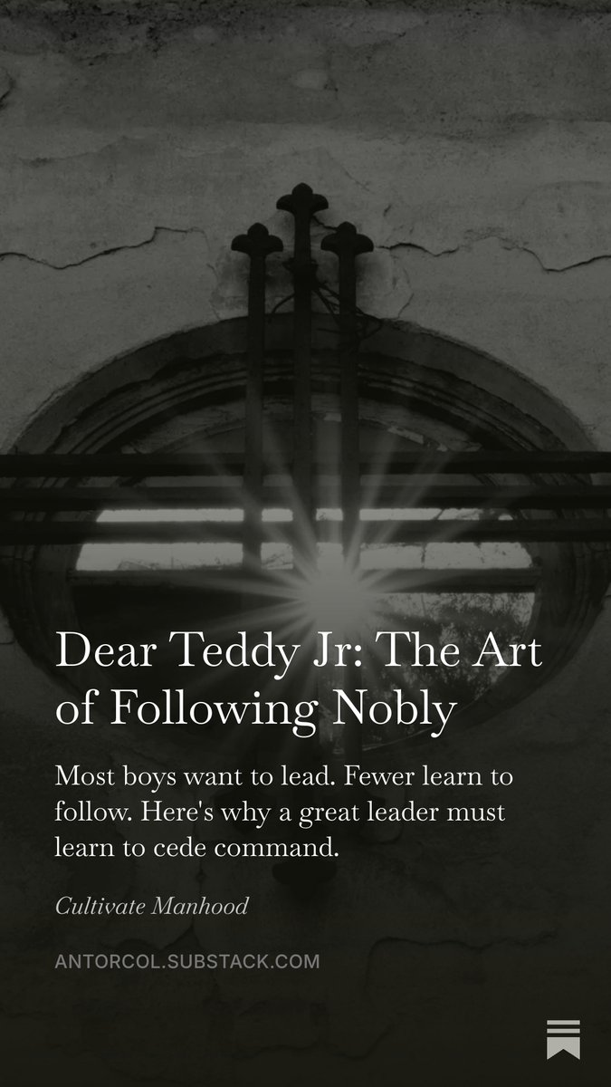 antorcol's tweet photo. New letter  at Dear Teddy Jr. on Substack - Major General Teddy Roosevelt Jr. answers questions about parenting boys.

#DearTeddyJr #Substack #RaisingBoys #Leadership https://t.co/ikYAkPm5WQ