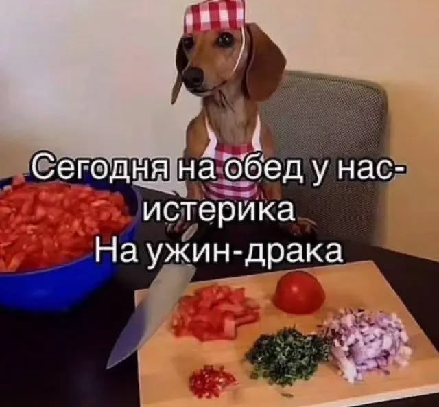 RoksanaKld's tweet photo. Кушать хочу.., когда обед… https://t.co/j1fStw6yTO