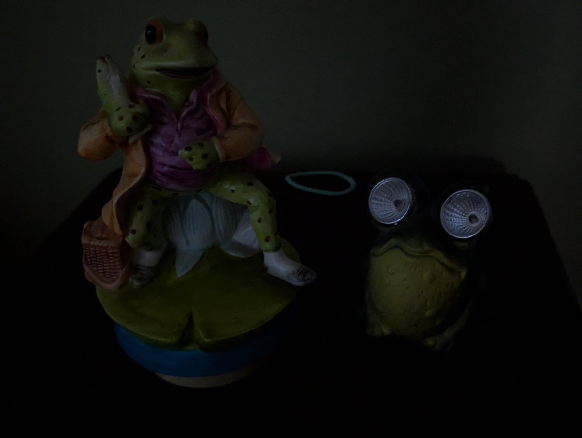 Cornysha_Syrup's tweet photo. 🐟🐸 Fish Frog helps 🧴🐸 Lotion Frog figure out how many Fish can be Inserted with Lotion 😫

Namaste 🥴 https://t.co/FZvrWCIo5R