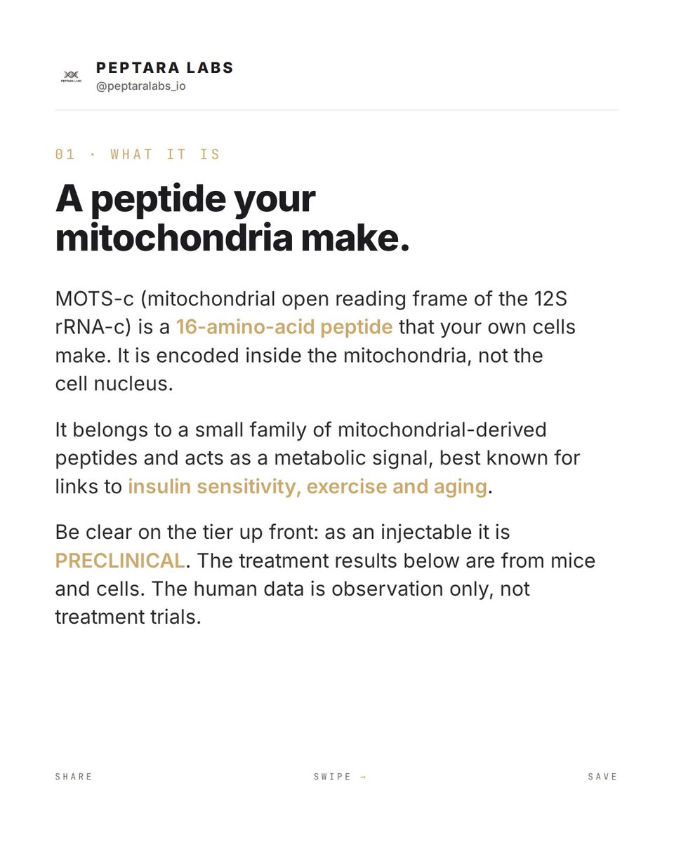 lu_cf_'s tweet photo. MOTS-c is a mitochondria-encoded 16-amino-acid peptide. In mice, it prevented diet-induced obesity and improved insulin resistance. Evidence tier: preclinical. Educational only, not medical advice or dosing guidance. https://t.co/DnzPX4t8JX