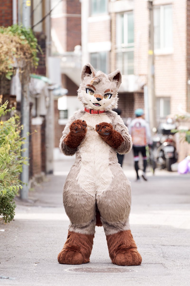 Erie_on_coyote's tweet photo. 날씨 완전 좋지 않아?🐾
#fursuiteveryday https://t.co/sitPYk5YKA