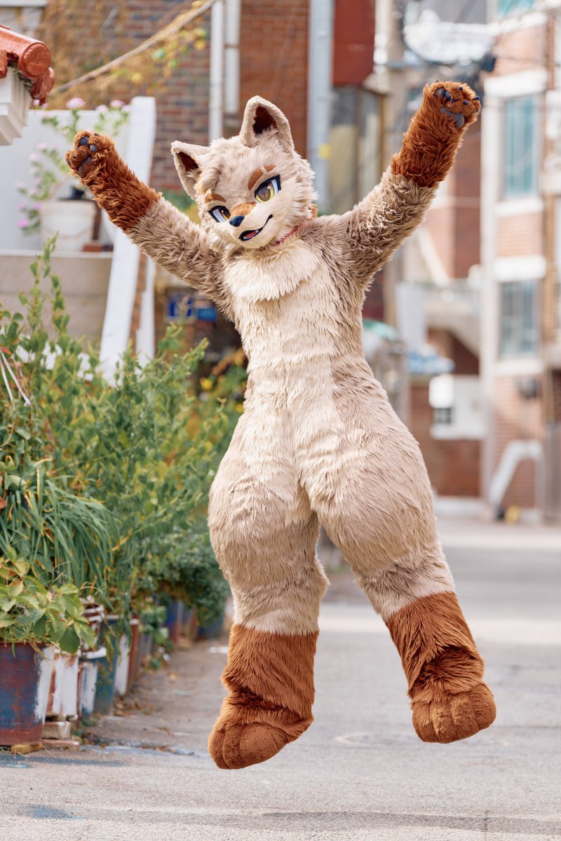 Erie_on_coyote's tweet photo. 날씨 완전 좋지 않아?🐾
#fursuiteveryday https://t.co/sitPYk5YKA