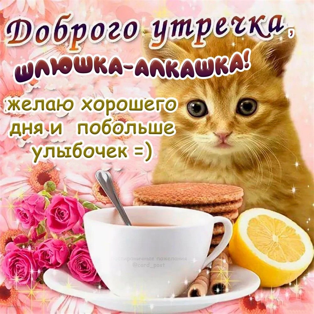 nanbreadxleb's tweet photo. НИХУЯСЕ у нас ебанутые сплетни это пиздеу https://t.co/2XyxaUn7JJ