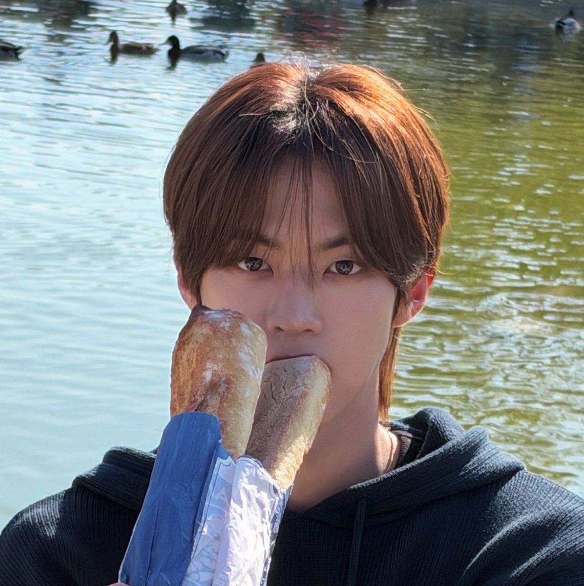 cxaexo's tweet photo. 내 작고 귀여운 쪼코볼 ..🤏🏻🤏🏻 https://t.co/lTEQhmP81t