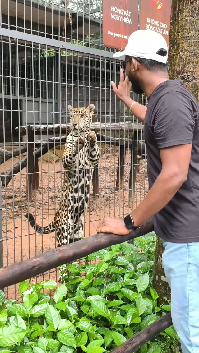 Caaritomars's tweet photo. A wild adventure at Vinpearl Safari, Phu Quoc: amazing wildlife, beautiful nature, and unforgettable memories. https://t.co/Jxhgd0jSBY