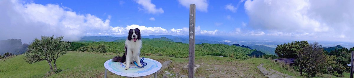 hikaruZG1300's tweet photo. 経ヶ峰を清掃登山してきました。伊勢湾を囲む愛知県や三重県のパノラマビューを楽しみましたワン♪

#清掃登山犬ハルとフク #ゴミ拾い #ごみ拾い #清掃活動 #ボランティア #犬 #ボーダーコリー https://t.co/1dFDPwJ1ND