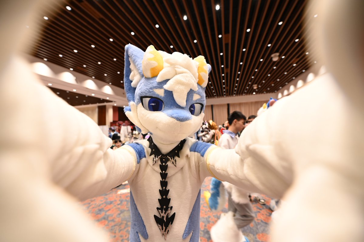 9502514028's tweet photo. 虛構都市！
@FurpolisCity https://t.co/qQibVaMhpi