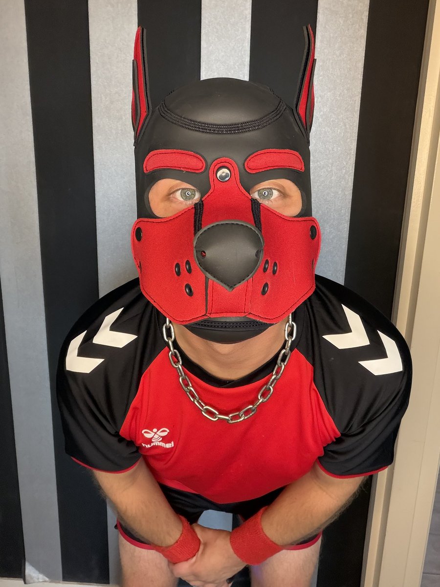 pupretch's tweet photo. ahwrooooooo

#gaypup #puppyplay #gay #gaypuppy #dutchgay #gaykink #gayfetish https://t.co/LH3opNUL77