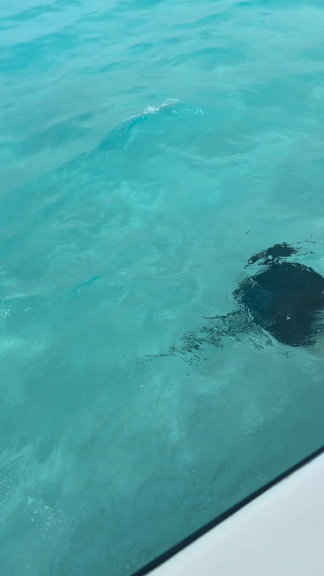 wesleymt's tweet photo. Cayman Islands travel plans? DM me. https://t.co/wPT3PlLayH
