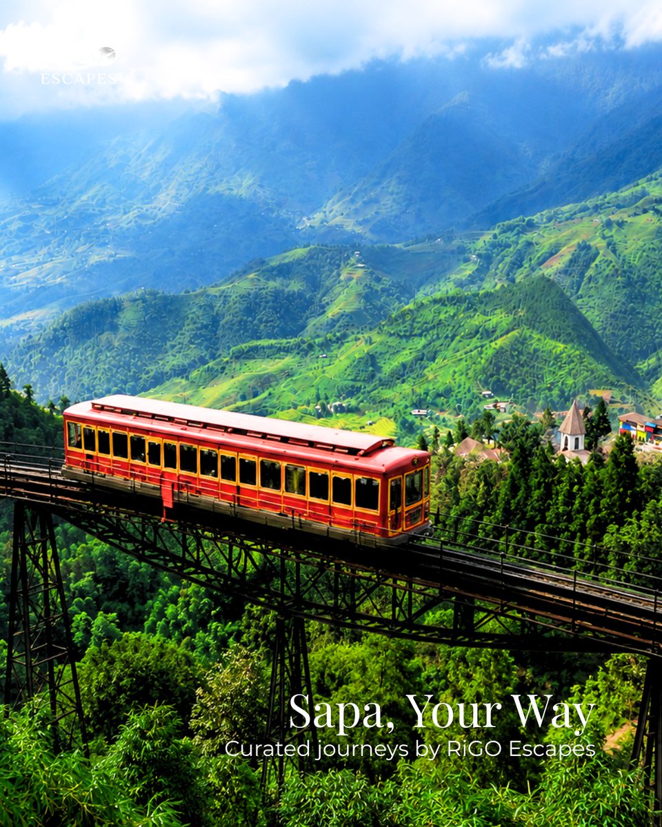 vinicius2298's tweet photo. Where clouds meet the mountains, Sapa slows time. Trek quiet villages, admire endless rice terraces, and savour panoramic views in Northern Vietnam’s most unforgettable escape. https://t.co/zd851aQ3BV