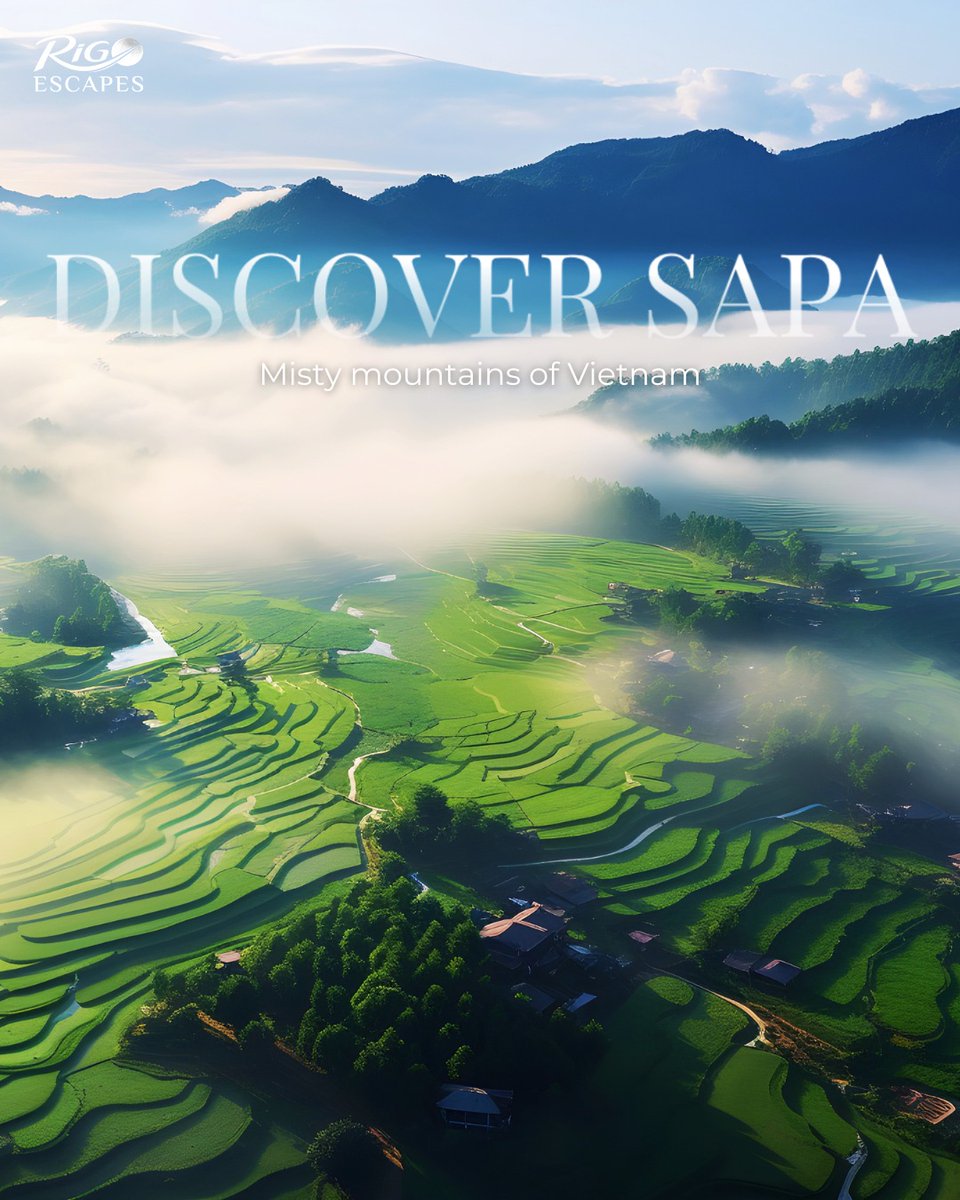 vinicius2298's tweet photo. Where clouds meet the mountains, Sapa slows time. Trek quiet villages, admire endless rice terraces, and savour panoramic views in Northern Vietnam’s most unforgettable escape. https://t.co/zd851aQ3BV