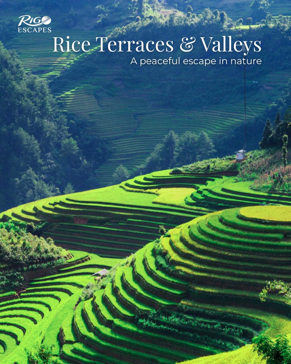vinicius2298's tweet photo. Where clouds meet the mountains, Sapa slows time. Trek quiet villages, admire endless rice terraces, and savour panoramic views in Northern Vietnam’s most unforgettable escape. https://t.co/zd851aQ3BV