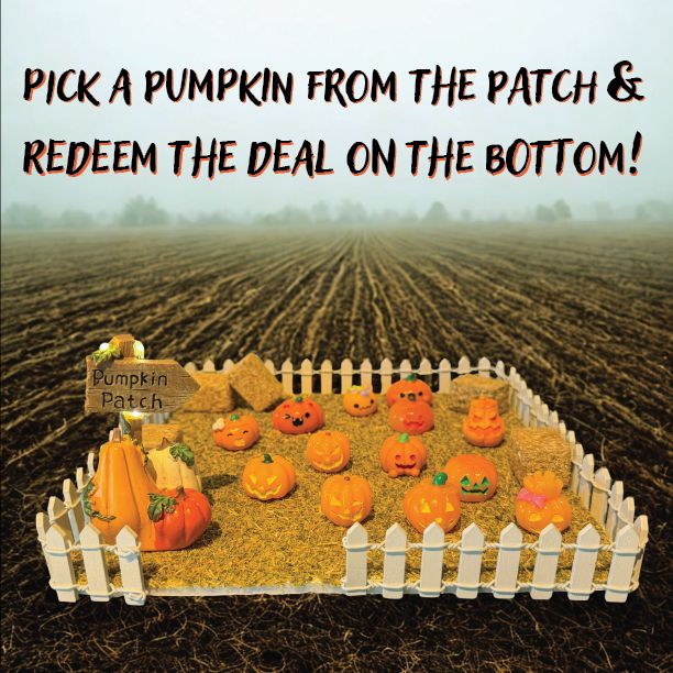 Motor_City_Tan's tweet photo. 🎃 Our Pumpkin Patch is OPEN!

Stop into Motor City Tan, pick a pumpkin &amp; check the bottom to reveal your surprise deal. 👀✨

You won’t know what you got until you pick. 😈🎃

📍 Pleasant Ridge

#MotorCityTan #PumpkinPatch #OctoberDeals #SpookySeason https://t.co/0oklInxYWW
