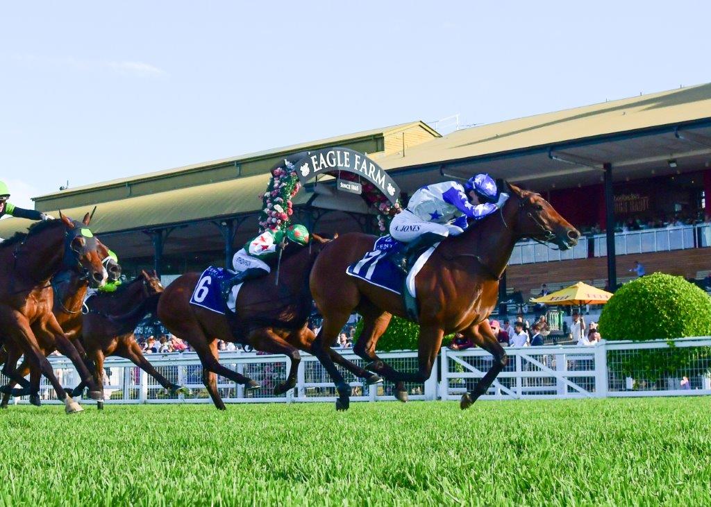 tonygollan's tweet photo. 💥TRACKSIDE WINNER OF THE WEEK 💥
Our #WinnerOfTheWeek presented by Trackside Photography is Moulin Miss.
5yo mare Moulin Miss (Spirit Of Boom x Je Suis Tycoon) won the Open Hcp over 1000m at Eagle Farm on Saturday ridden by Angela Jones & strapped by Anya Heywood. https://t.co/99ZAb9IIjI