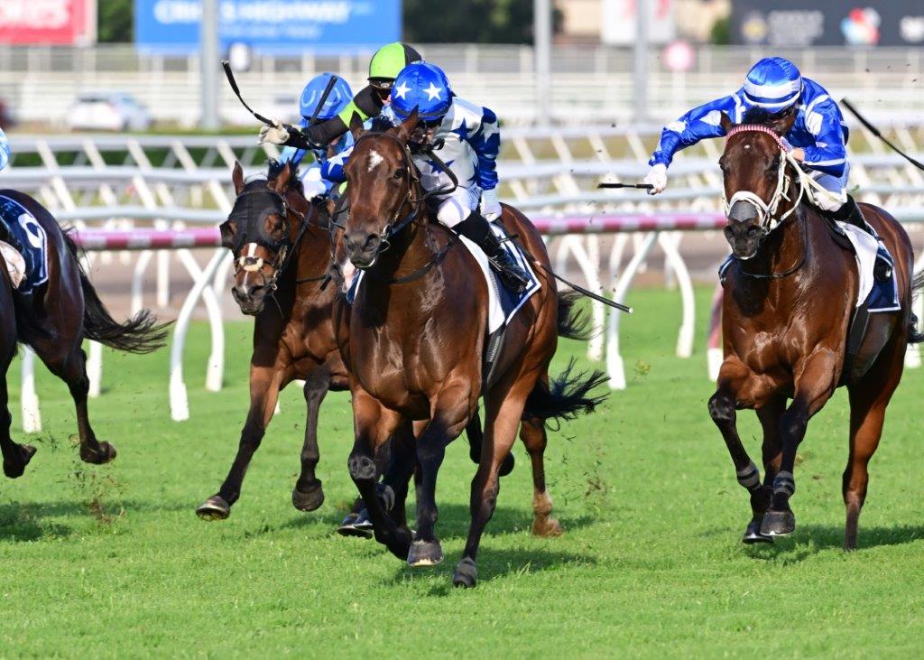 tonygollan's tweet photo. 💥TRACKSIDE WINNER OF THE WEEK 💥
Our #WinnerOfTheWeek presented by Trackside Photography is Moulin Miss.
5yo mare Moulin Miss (Spirit Of Boom x Je Suis Tycoon) won the Open Hcp over 1000m at Eagle Farm on Saturday ridden by Angela Jones & strapped by Anya Heywood. https://t.co/99ZAb9IIjI