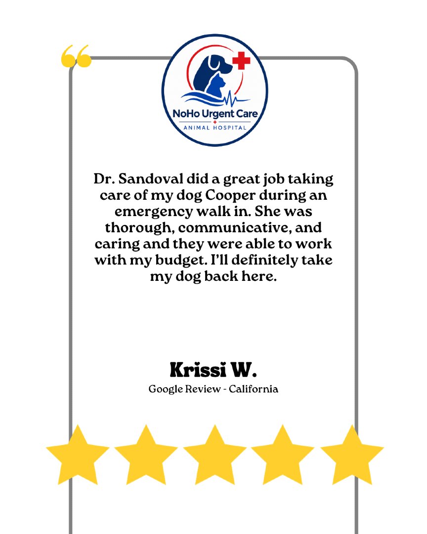 NoHoVet's tweet photo. NoHo Vet is grateful for this kind review. ❤️ Thank you, Krissi, for trusting Dr. Sandoval with Cooper’s emergency walk-in care. We’re glad you felt heard, supported, and cared for. 🐾 #NoHoVet #EmergencyVet #PetCare https://t.co/ofJkSzGsG7