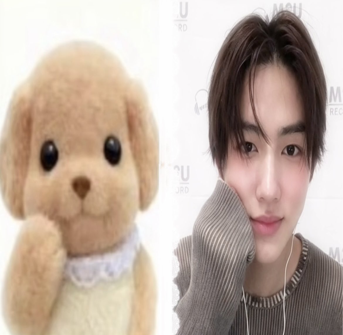 eyanngantuk's tweet photo. seonghyeon in his sylvanian pose ꣑ৎ https://t.co/mPwofNa7bd