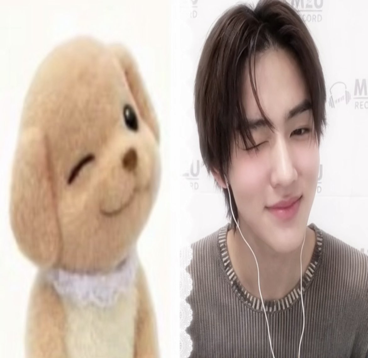 eyanngantuk's tweet photo. seonghyeon in his sylvanian pose ꣑ৎ https://t.co/mPwofNa7bd