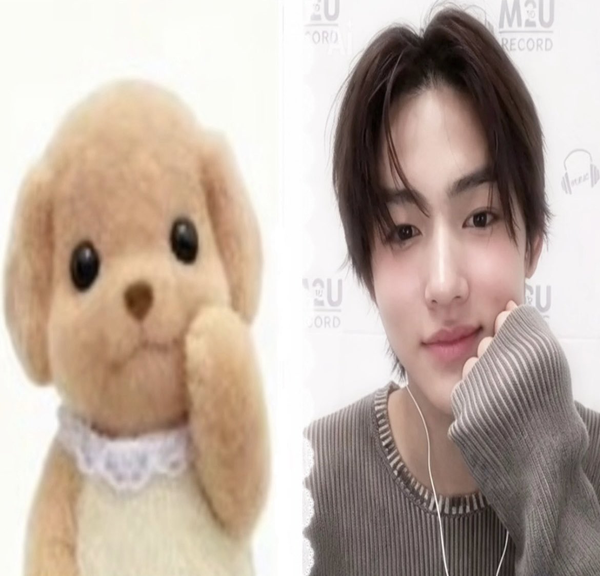eyanngantuk's tweet photo. seonghyeon in his sylvanian pose ꣑ৎ https://t.co/mPwofNa7bd