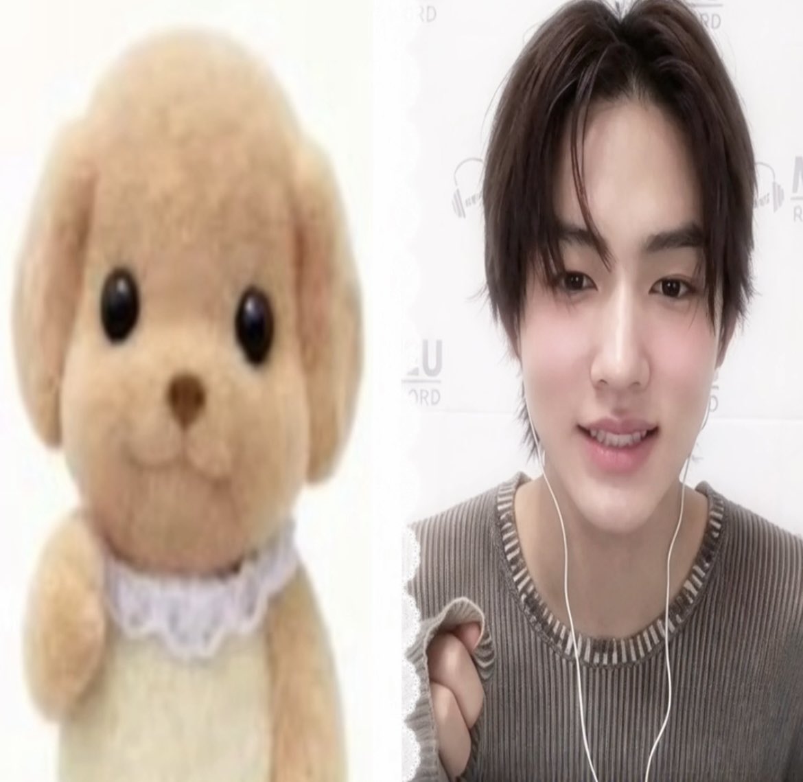 eyanngantuk's tweet photo. seonghyeon in his sylvanian pose ꣑ৎ https://t.co/mPwofNa7bd