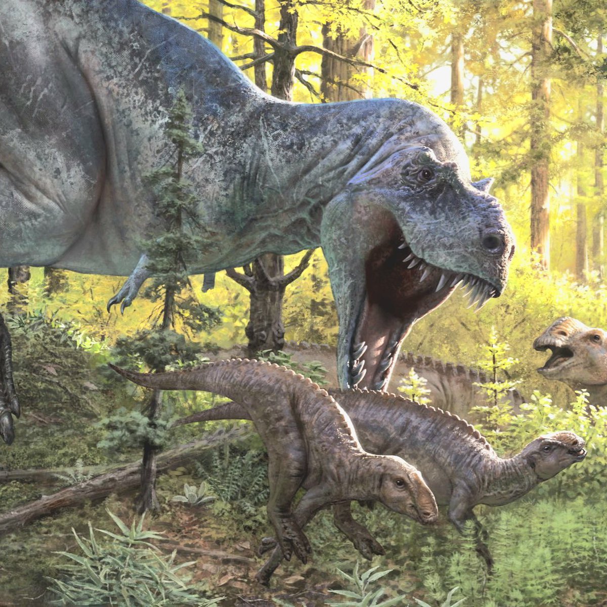 dinosaurbaksa's tweet photo. 캐나다의 상부 백악기 올드맨층에서 수집된 5점의 표본을 바탕으로 신종 티라노사우루스류 트로메로사우루스(Tromerosaurus)가 명명됐다. 계통분석 결과에 따라 가장 원시적인 알베르토사우루스아과 또는 티라노사우루스아과의 기저부에 위치할 것으로 보임. 생존 시기는 고르고사우루스랑 살짝 겹침. https://t.co/wBBBw1jDIe