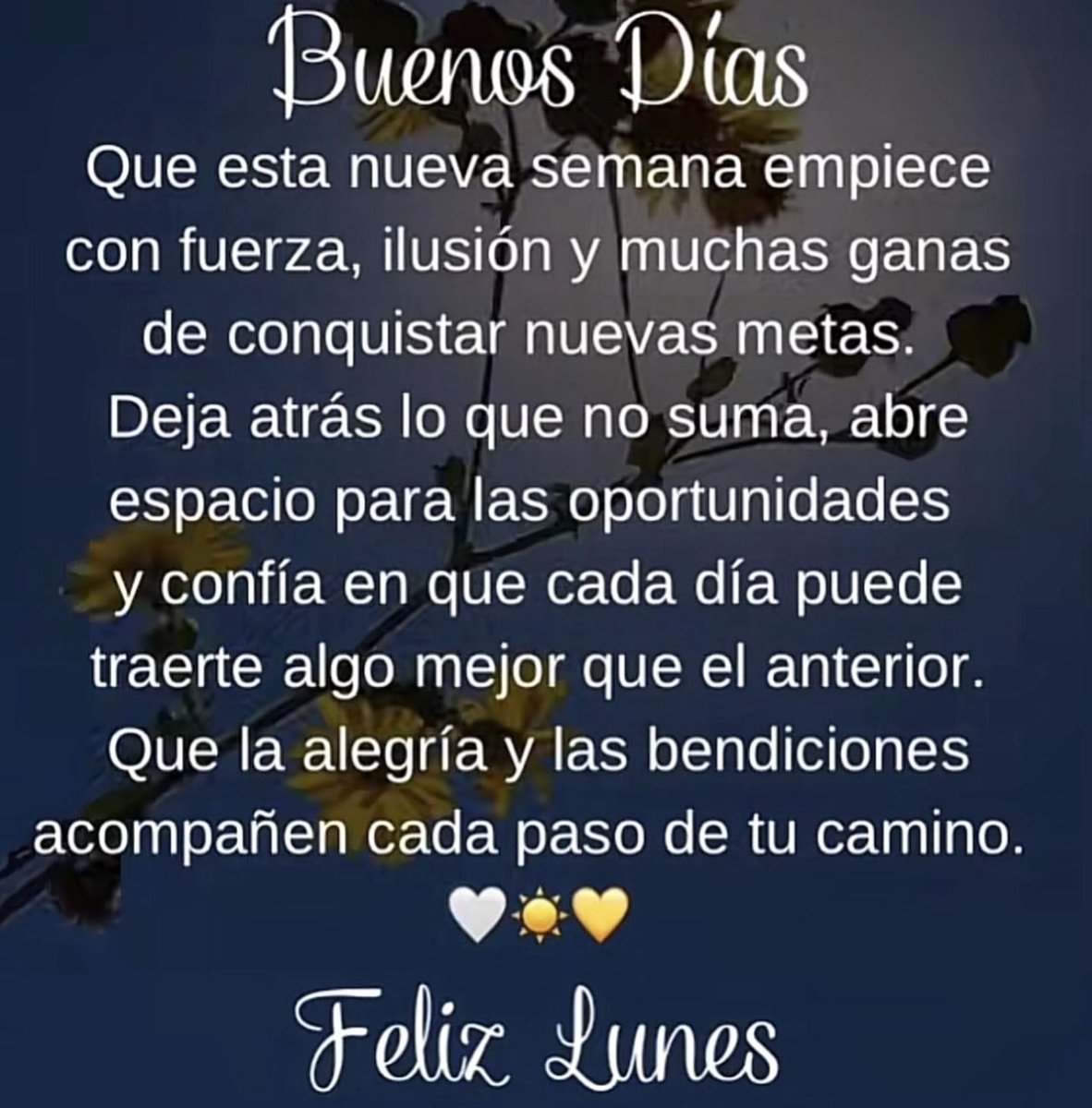 Josecrel's tweet photo. Feliz Lunes 🤗🩲♥️🫂🌹😘🌧️ https://t.co/IaKOhxDgm0