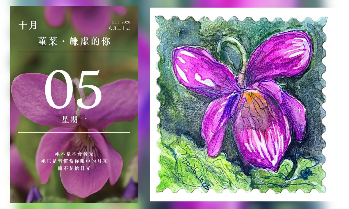 adder915a's tweet photo. 今日花語曆
2026年10月05日
【堇菜】（Viola）是堇菜科（Violaceae）下最大的一個屬，全球約有 500 至 600 種，主要分布於北半球溫帶地區。
💐花語象徵著「謙遜、真摯的愛與深刻的思念」。
繪畫尺寸：8cm×8cm
#2026年花語日曆 #花語日曆 
https://t.co/s9hPWlpSMz https://t.co/1CwYWJKOS7