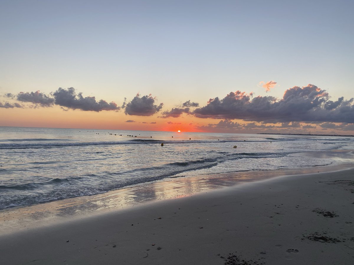 Oussama_Chourou's tweet photo. Morning 🌞 run 🏃‍♂️:
Running Keeper 100 Days : Day 86/100
#AmoCorrere #RunBlue 
#RunIsland #RunToDeath
#RunningClubMidoun https://t.co/42CjUj0WBY