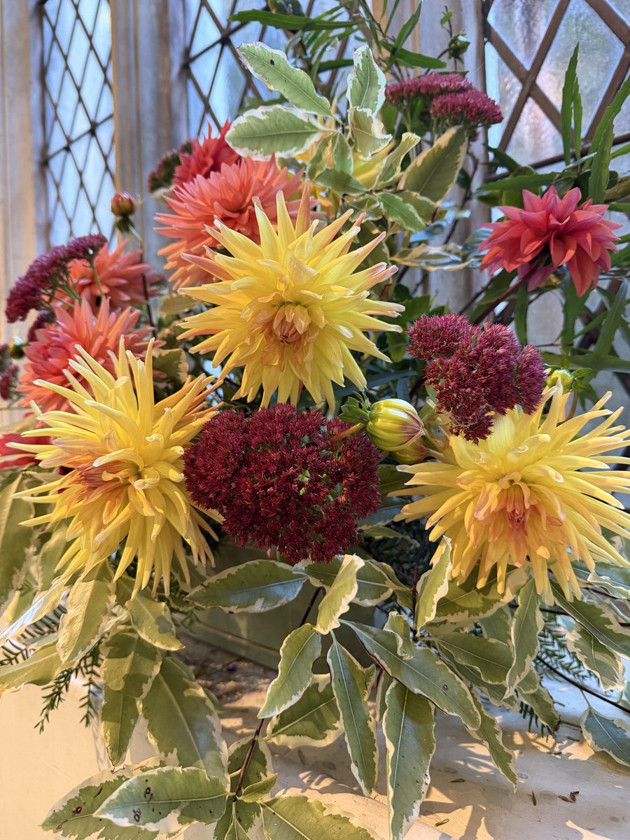 jabberworks's tweet photo. Gorgeous homegrown flowers at our church’s Harvest Festival service 🧡 
#BoveyTracey https://t.co/7IhG09J0xJ