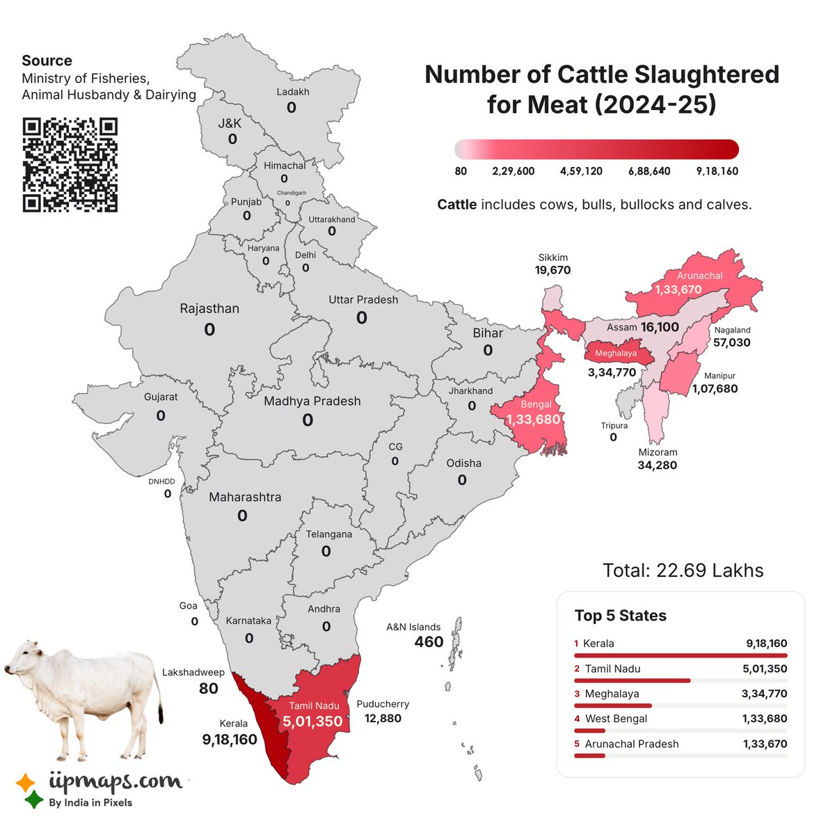 indiainpixels's tweet photo. Number of cattle slaughtered for meat in each state of India in 2024-25 https://t.co/HjHswEwWWg