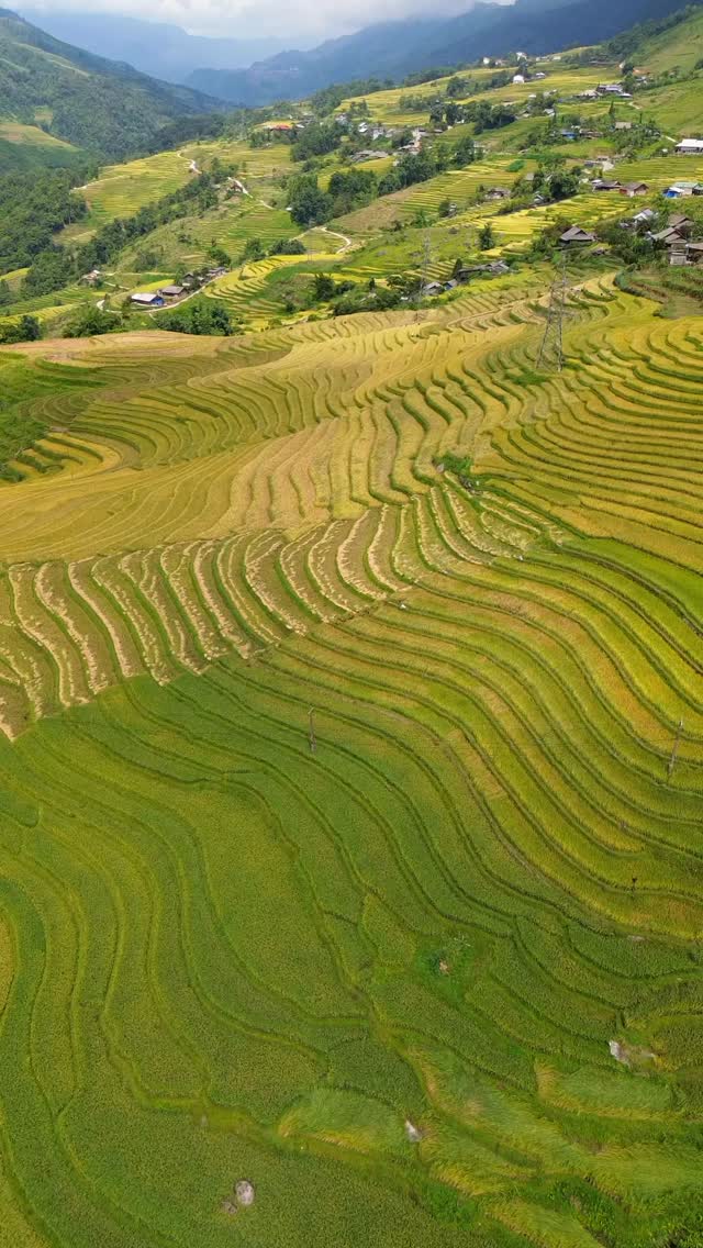 wxkmelo's tweet photo. Welcome to Sapa, where mountain views, rich culture, and unforgettable experiences await. https://t.co/rSvot6KOOk