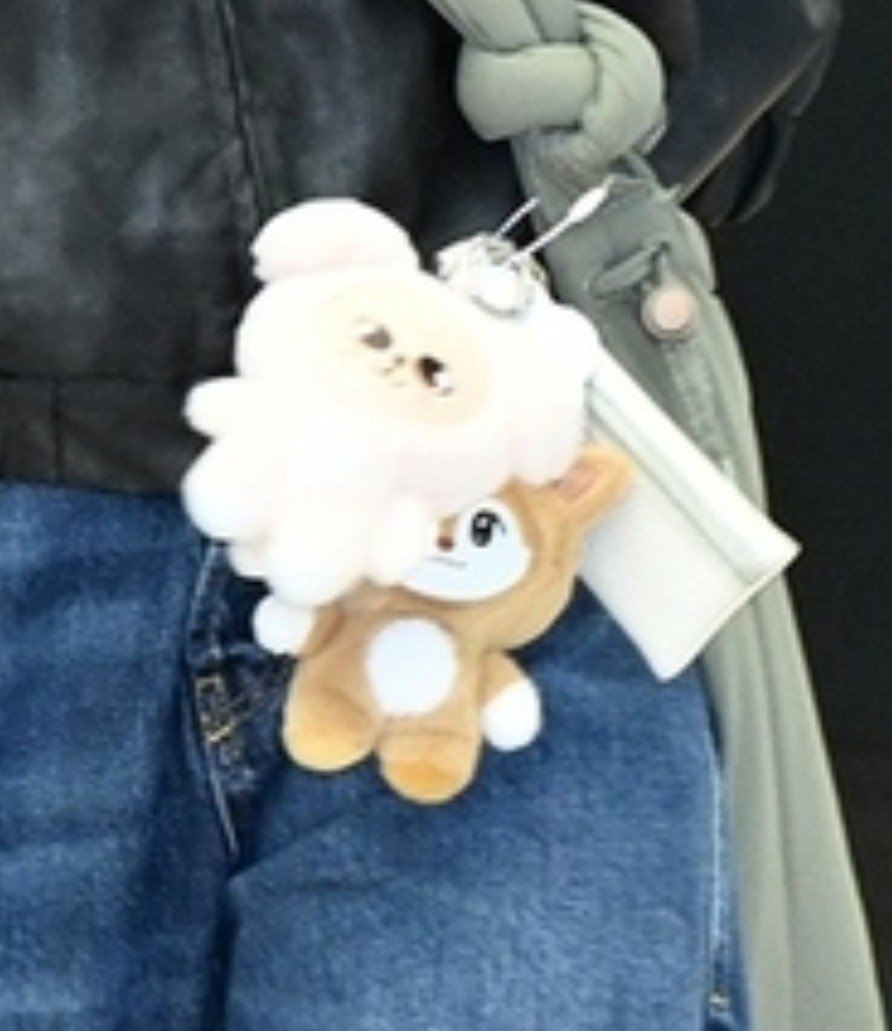 yugeonmoya's tweet photo. seita with his seidee and puppym keyring ! aackkkkk https://t.co/8vVPLoqFt9