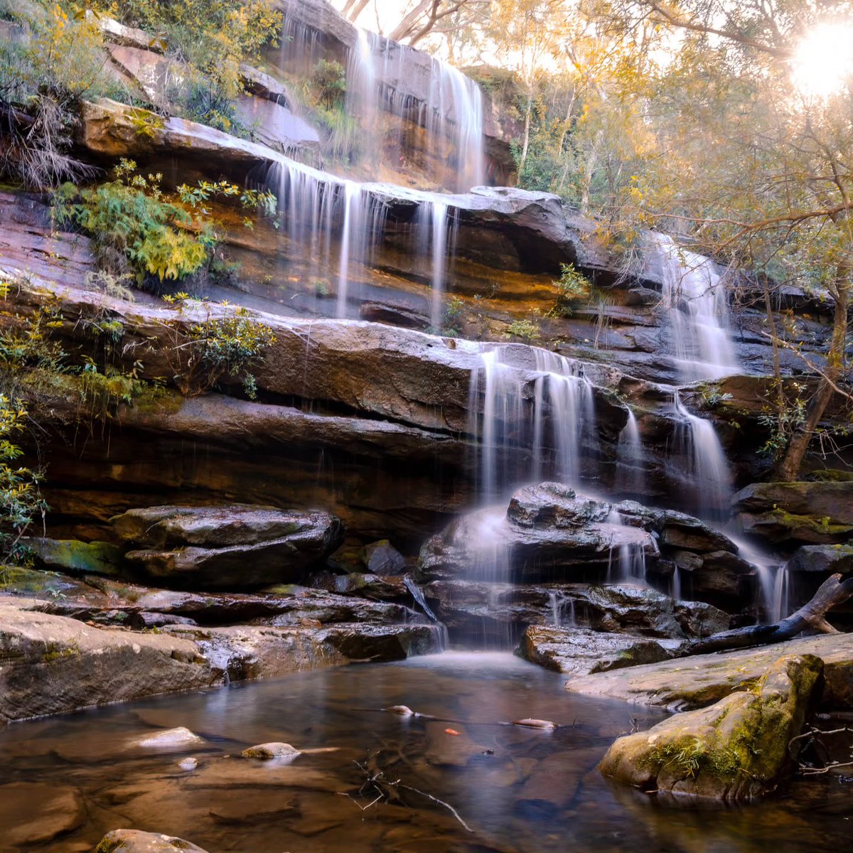 aknkaraku's tweet photo. Need a Sydney tour guide? Don't call me. I've gotten lost more times than I'd like to admit trying to find places like this. https://t.co/Z7XAnxR008