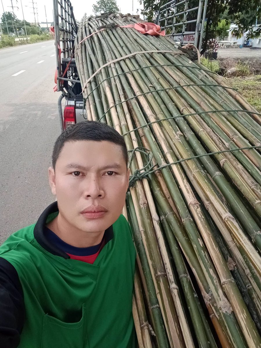 RnphuSng's tweet photo. 🙏ส่งงานวันเสาร์ ที่ 3/10/2569 (ไผ่เลี้ยง 7-8เมตร 243ลำ)🙏
🌳ขายตลอดทั้งปีครับ🌳สนใจไม้ไผ่ลำไม้ไผ่ผ่าซีกแหลมปลาย🌳ไม้หลักปักค้ำยันต้นไม้ทุกชนิด🌳
☎️สนใจติดต่อส��บถาม
Tel / line : 0959788029 / 0631629620 / 0626199799 บ๋อม นครนายก
🙏🙏🙏ขอบคุณลูกค้าที่อุดหนุนครับ🙏🙏🙏 https://t.co/qepyvq5v0U