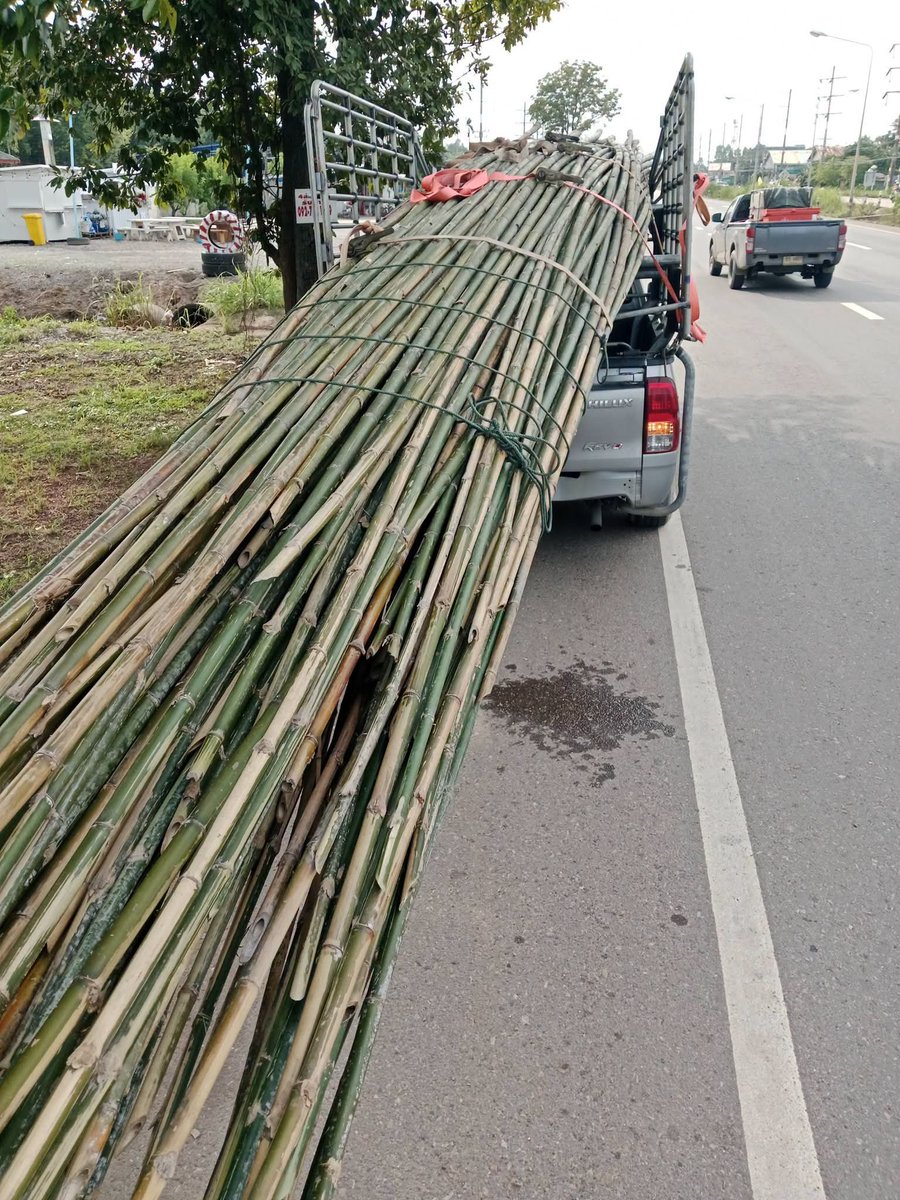 RnphuSng's tweet photo. 🙏ส่งงานวันเสาร์ ที่ 3/10/2569 (ไผ่เลี้ยง 7-8เมตร 243ลำ)🙏
🌳ขายตลอดทั้งปีครับ🌳สนใจไม้ไผ่ลำไม้ไผ่ผ่าซีกแหลมปลาย🌳ไม้หลักปักค้ำยันต้นไม้ทุกชนิด🌳
☎️สนใจติดต่อส��บถาม
Tel / line : 0959788029 / 0631629620 / 0626199799 บ๋อม นครนายก
🙏🙏🙏ขอบคุณลูกค้าที่อุดหนุนครับ🙏🙏🙏 https://t.co/qepyvq5v0U