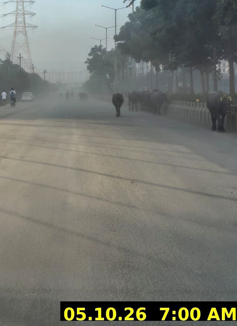 vishal_mathur's tweet photo. @CeoNoida sir plz see the amount of dust on roads of Sector 150 noida. With winters this will become even graveous. This level of dust is dangerous for residents. Plz take corrective measures before the matter is reported to CAQM and NGT. https://t.co/YgRqoAkAuN