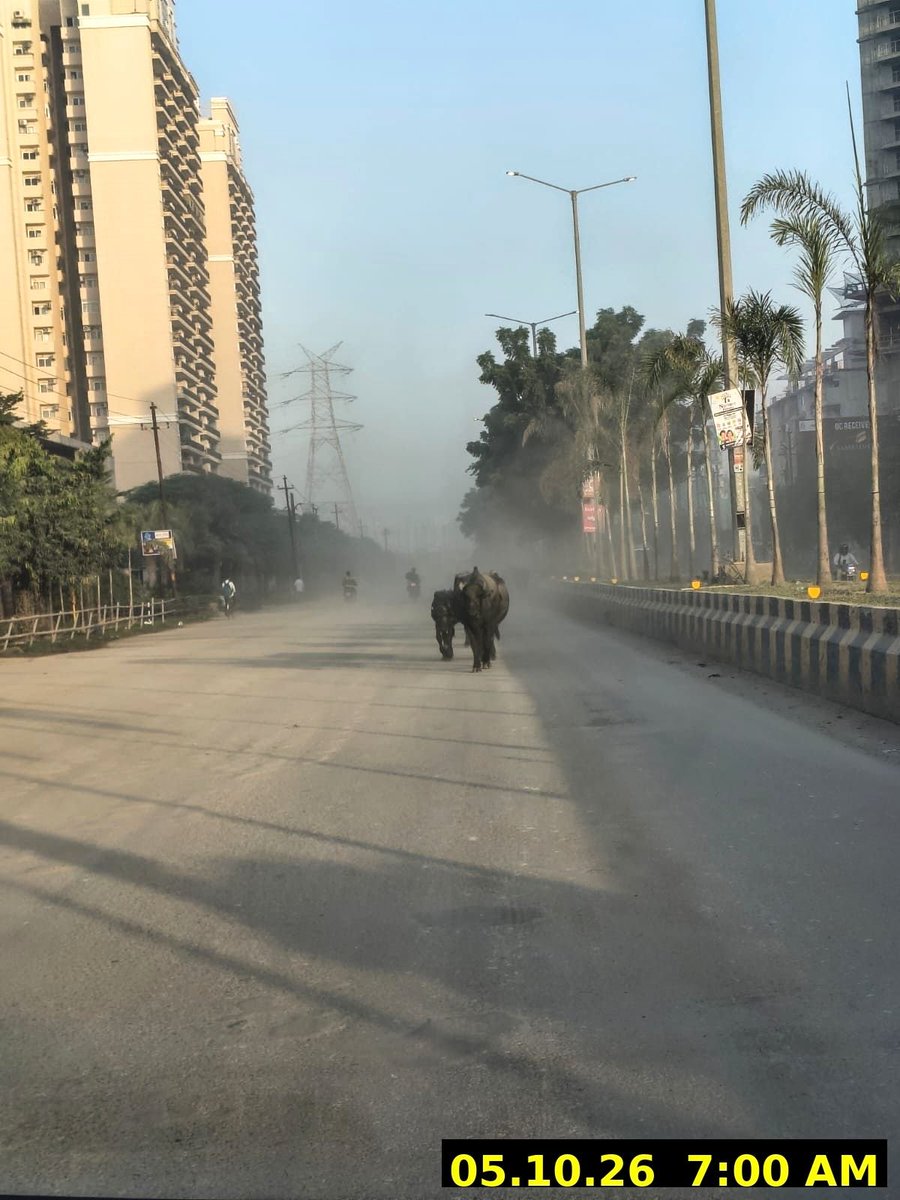 vishal_mathur's tweet photo. @CeoNoida sir plz see the amount of dust on roads of Sector 150 noida. With winters this will become even graveous. This level of dust is dangerous for residents. Plz take corrective measures before the matter is reported to CAQM and NGT. https://t.co/YgRqoAkAuN