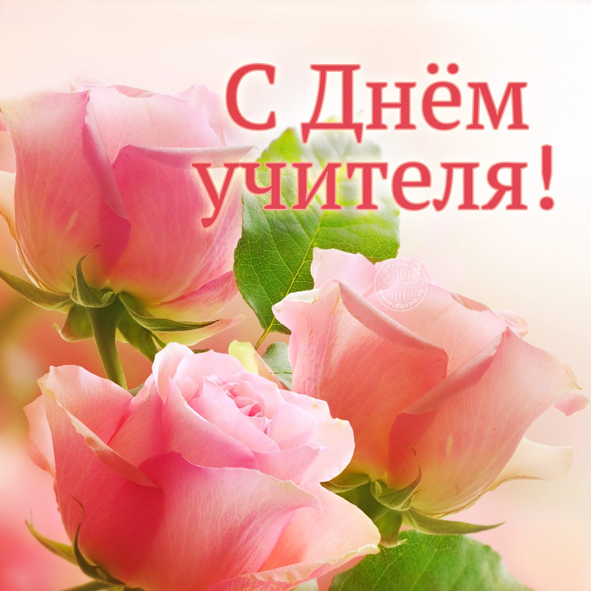 Cholpon143189's tweet photo. 5-октябрь Мугалимдер күнү!                        Бардык кесиптештеримди кесиптик майрамыңыздар менен куттуктайм!        Мен да мугалиммин, ата- энем да мугалим. Бул улуу кесиптин кадырын үй - бүлөмдөн үйрөнүп, бүгүн өзүм да сыймыктануу менен аркалап келем. Майрамыңыздар менен.📚 https://t.co/5aAbMjbo7O