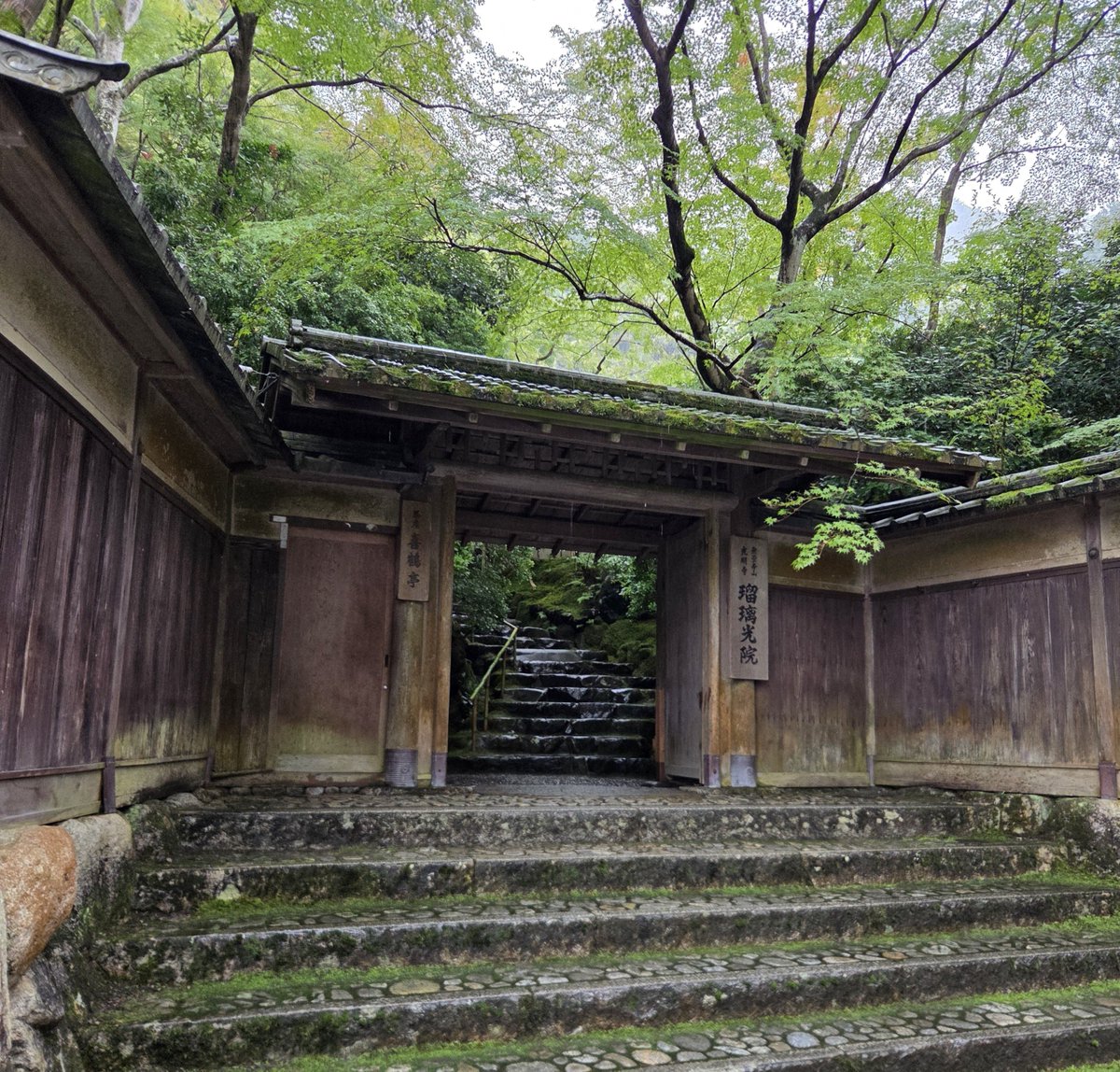 kkhp_29's tweet photo. 瑠璃光院 https://t.co/QNGSX9wefN