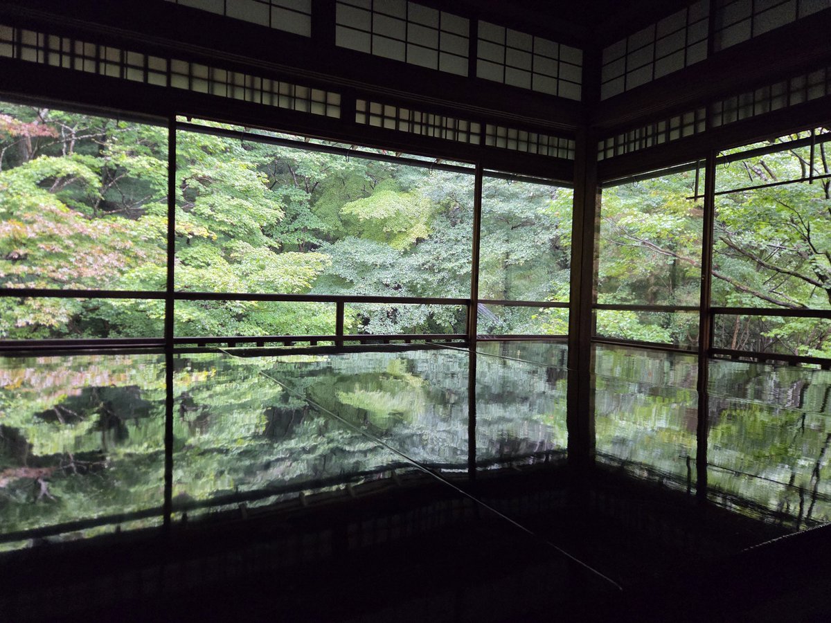 kkhp_29's tweet photo. 瑠璃光院 https://t.co/QNGSX9wefN