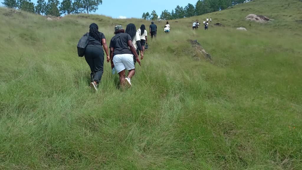 TJKFound_Int's tweet photo. A fresh week is the perfect time to plant new seeds, especially when it comes to taking action for #environmentalconservation . 🌱✨
Let's channel that motivation and turn those positive intentions into real-world impact. #NewWeek #EnvironmentalConservation #Reality #TjkAction https://t.co/o95rNYDMJi