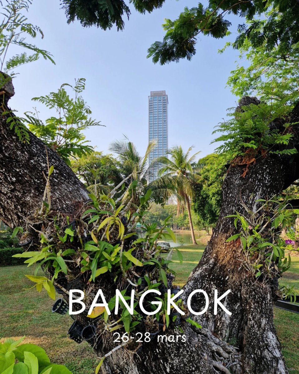HermoxaRico's tweet photo. På dette tidspunktet lengtet både hode og kropp etter mer komfort. Jeg dro fra Bangkok noen timer før jordskjelvet. Det setter ting i perspektiv. Flere liv gikk tapt, særlig i Myanmar. Det som utfordrer meg, kan være luksus for andre. https://t.co/KVz3lp6PMd