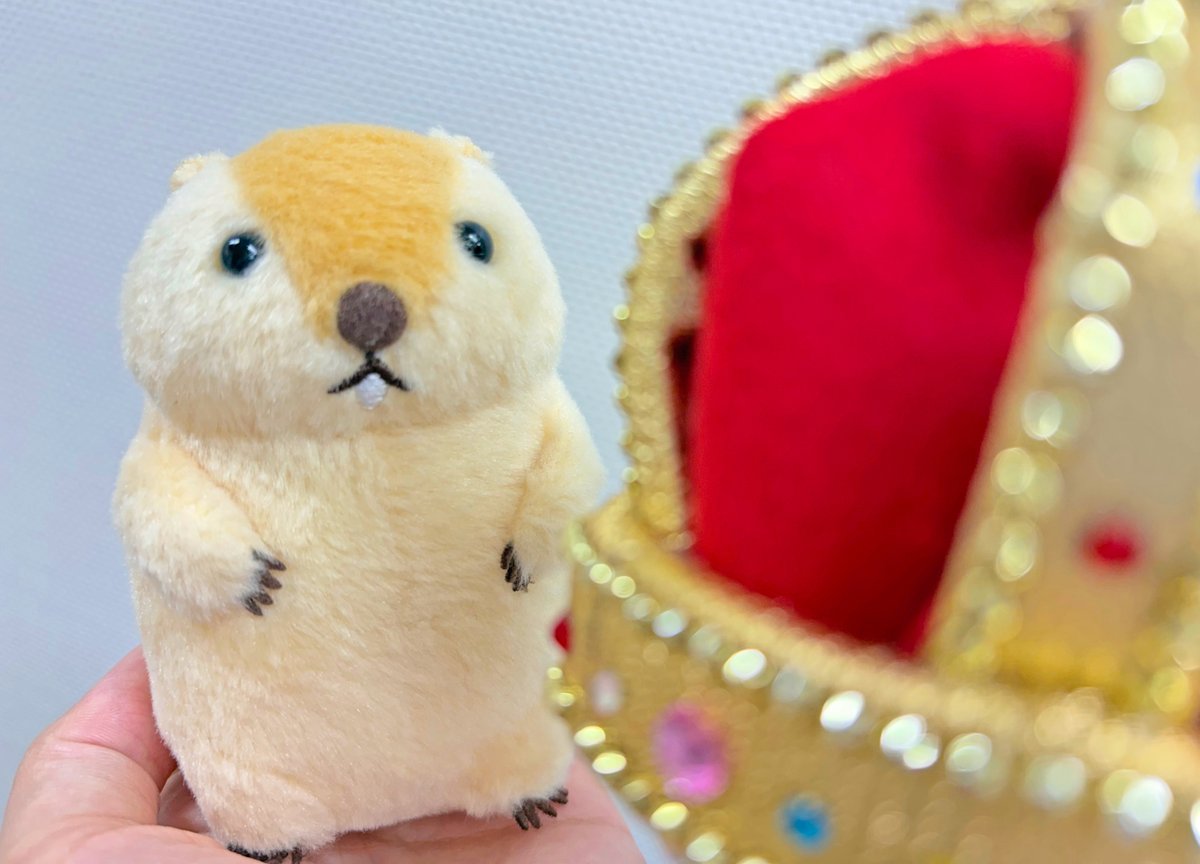 AMUSE_marmot's tweet photo. 明日かアー...

#マーモットのもっとっと
#マーモットのもっとっとバースデー https://t.co/doKa1eV8uu