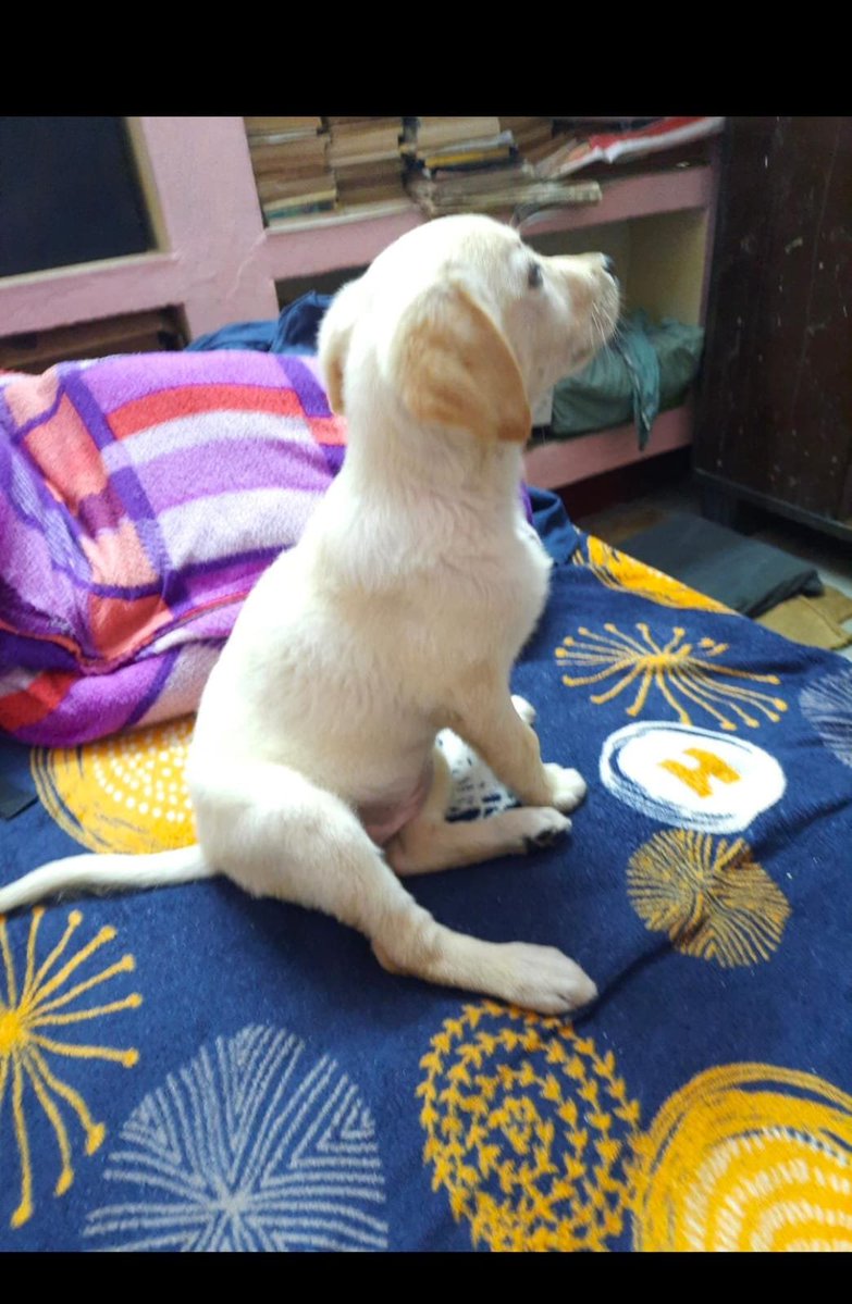 invinciblegud91's tweet photo. Mere sasural  ki choti don 🤣🤣🤣 ab to badi ho gyi h ye phele ki pic h https://t.co/Zg6hhg9MoX