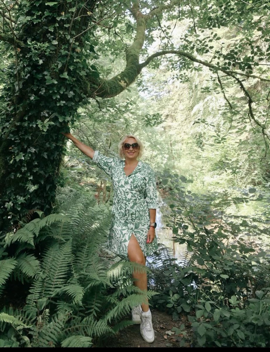abolbalad's tweet photo. I stepped into a painting: a magical green world where nature feels like art. https://t.co/RCyinKBXOq