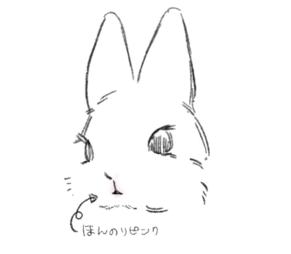 milk_72_'s tweet photo. うさぎのココ、これがマジで可愛くて狂う https://t.co/ob8A1MCWlY
