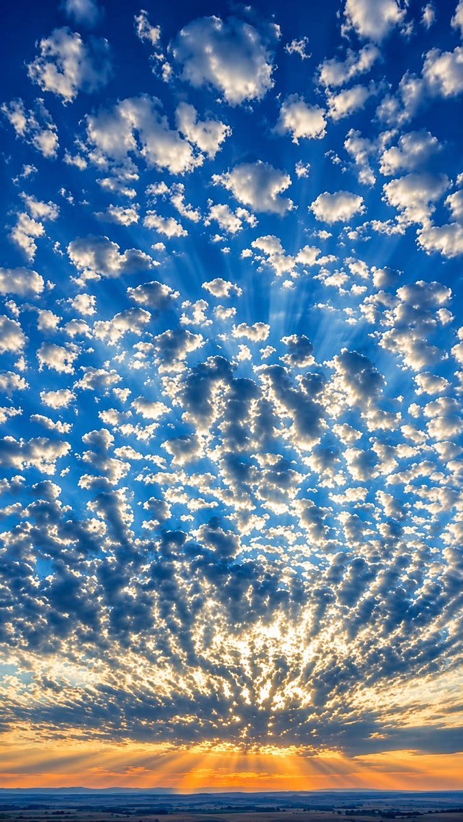 natureaest's tweet photo. Lost in the magic of the clouds. ☁️✨ https://t.co/qdC3bur92a