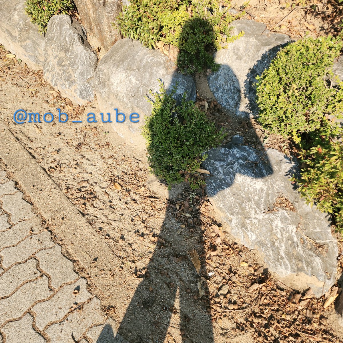 mob_aube's tweet photo. 딥. https://t.co/bEH5WTCWec