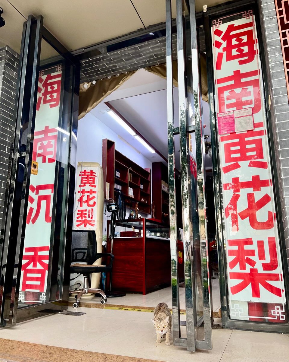 kazaeem's tweet photo. Welcome to a space for ideas, conversations, and what’s next. https://t.co/8xwBLnAGnq