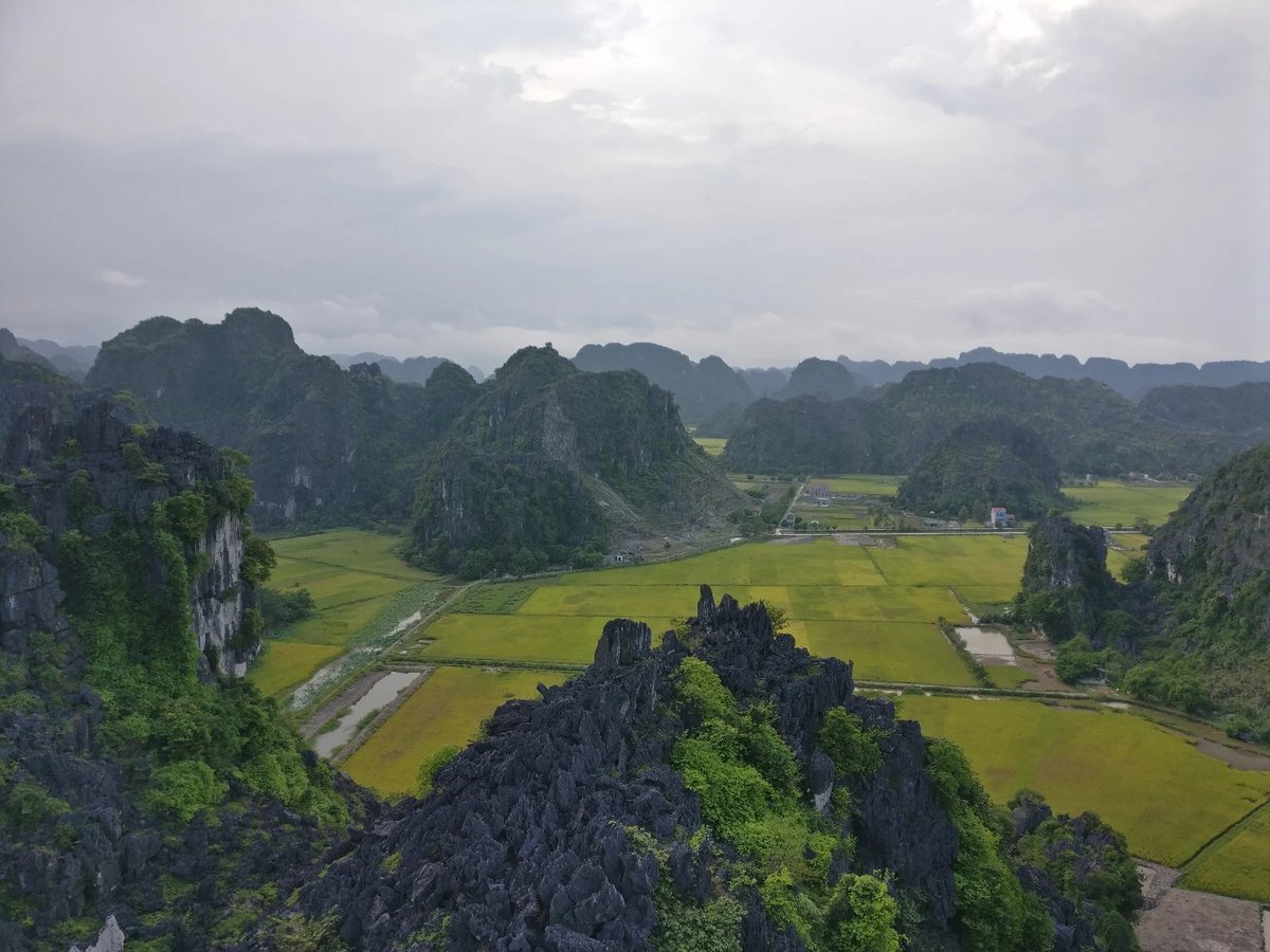Roberto77090359's tweet photo. Ninh Binh, Vietnam https://t.co/T1FNTgwhiE